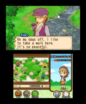 Harvest Moon 3D: The Tale of Two Towns Review - Screenshot 3 of 3