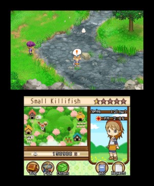 Harvest Moon 3D: The Tale of Two Towns Review - Screenshot 1 of 3