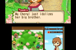 Harvest Moon 3D: The Tale of Two Towns Screenshot