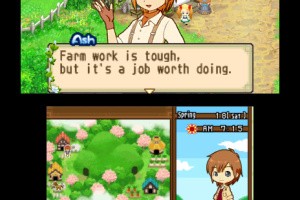 Harvest Moon 3D: The Tale of Two Towns Screenshot
