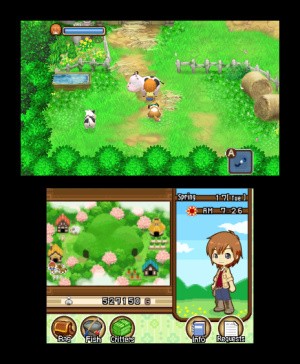 Harvest Moon 3D: The Tale of Two Towns Review - Screenshot 1 of 3