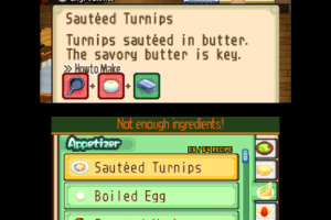 Harvest Moon 3D: The Tale of Two Towns Screenshot