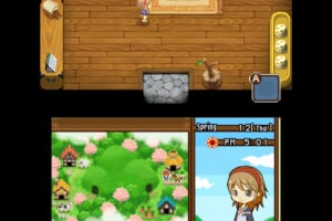 Harvest Moon 3D: The Tale of Two Towns Screenshot