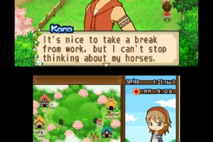 Harvest Moon 3D: The Tale of Two Towns Screenshot