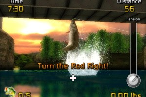 Big Bass Arcade Screenshot