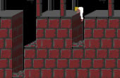 Prince of Persia - Screenshot 4 of 8