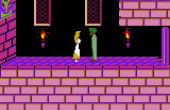 Prince of Persia - Screenshot 3 of 8