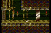 Prince of Persia - Screenshot 8 of 10