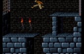 Prince of Persia - Screenshot 6 of 10