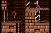 Prince of Persia - Screenshot 3 of 10