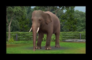 Zoo Resort 3D Review - Screenshot 3 of 4