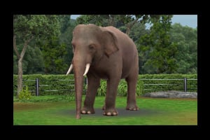 Zoo Resort 3D Screenshot