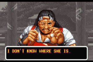 Art Of Fighting Screenshot