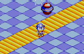 Sonic Labyrinth - Screenshot 3 of 4