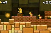 New Super Mario Bros. 2 - Screenshot 10 of 10