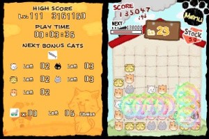 Cat Frenzy Screenshot