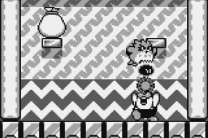 Kirby's Dream Land 2 Screenshot