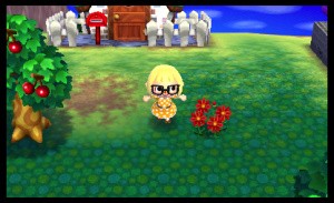 Animal Crossing: New Leaf Review - Screenshot 2 of 5