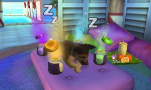 Pets Resort 3D Review - Screenshot 3 of 4