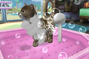Pets Resort 3D Screenshot