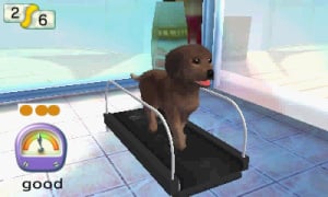 Pets Resort 3D Review - Screenshot 3 of 4