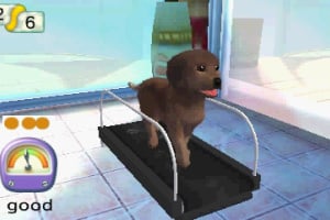 Pets Resort 3D Screenshot