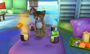 Pets Resort 3D Review - Screenshot 4 of 4