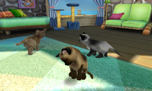 Pets Resort 3D Review - Screenshot 3 of 4