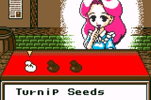 Harvest Moon Screenshot