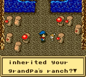 Harvest Moon Review - Screenshot 4 of 4