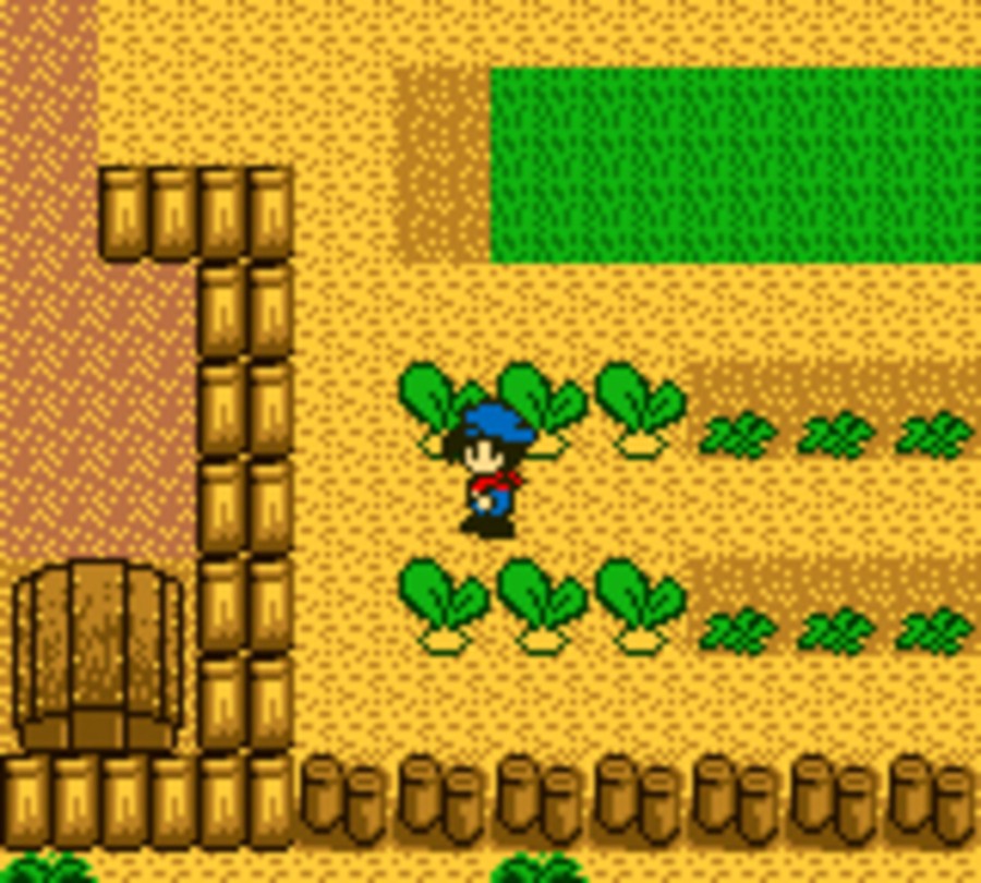 Harvest Moon (GBC / Game Boy Color) Screenshots