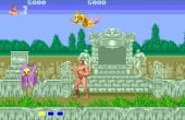 Altered Beast - Screenshot 8 of 10