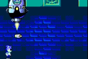 Sonic the Hedgehog Screenshot