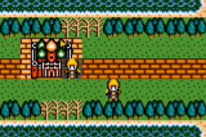 Crystal Warriors Screenshot