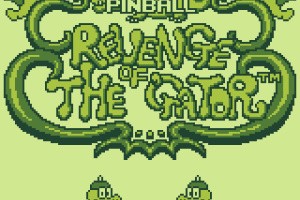 Pinball: Revenge of the 'Gator Screenshot