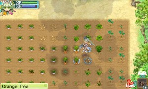 Rune Factory 4 Review - Screenshot 2 of 8