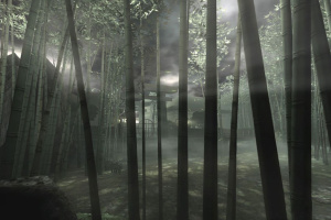 Red Steel Screenshot