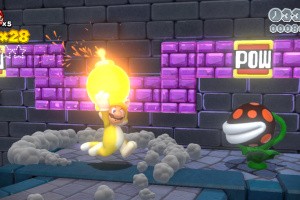 Super Mario 3D World Screenshot