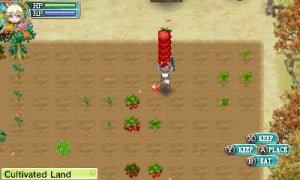 Rune Factory 4 Review - Screenshot 6 of 8