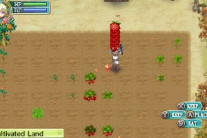 Rune Factory 4 Screenshot