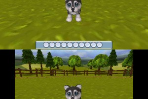 My Baby Pet Hotel 3D Screenshot