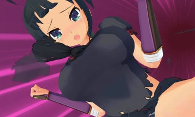 Senran Kagura Burst (2014) - Nintendo 3DS - LastDodo