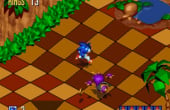 Sonic Mega Collection - Screenshot 7 of 10