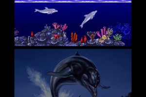 3D Ecco The Dolphin Screenshot