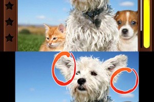 Spot the Differences! Screenshot