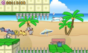 Skater Cat Review - Screenshot 3 of 3