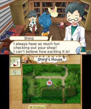 Hometown Story Review - Screenshot 4 of 5