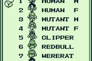 The Final Fantasy Legend Screenshot