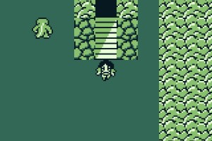 The Final Fantasy Legend Screenshot