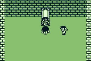 The Final Fantasy Legend Screenshot